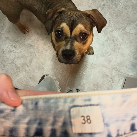 graphic jean shorts - Picture 2 of 4